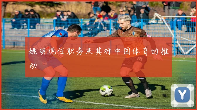 姚明现任职务及其对中国体育的推动