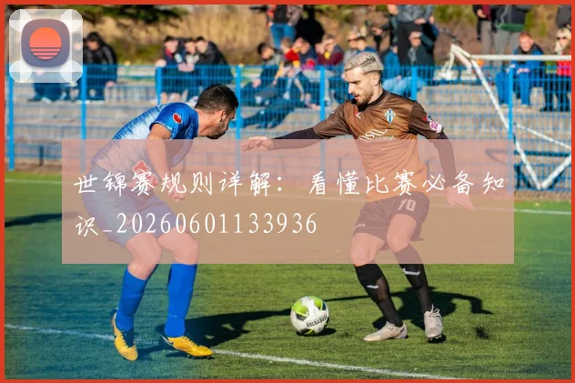 世锦赛规则详解:看懂比赛必备知识_20260601133936