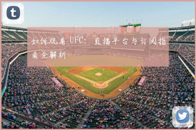 如何观看 UFC:直播平台与订阅指南全解析
