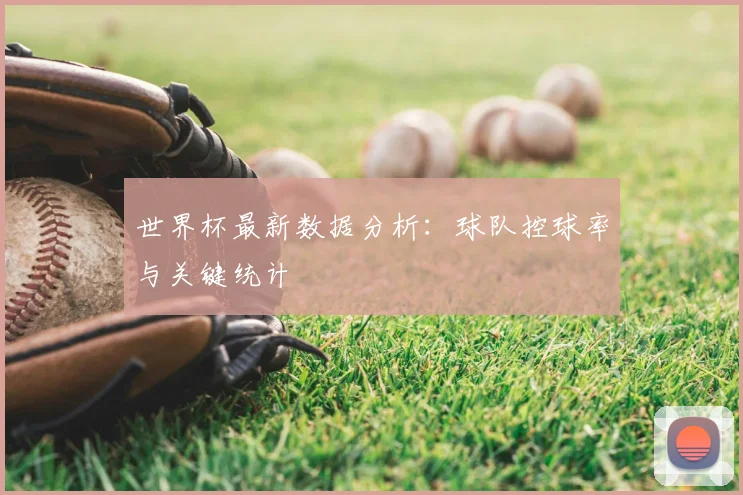 世界杯最新数据分析:球队控球率与关键统计