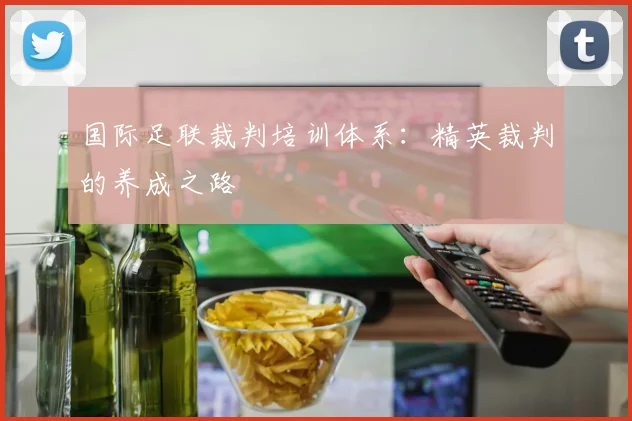 国际足联裁判培训体系:精英裁判的养成之路